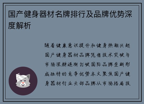 国产健身器材名牌排行及品牌优势深度解析